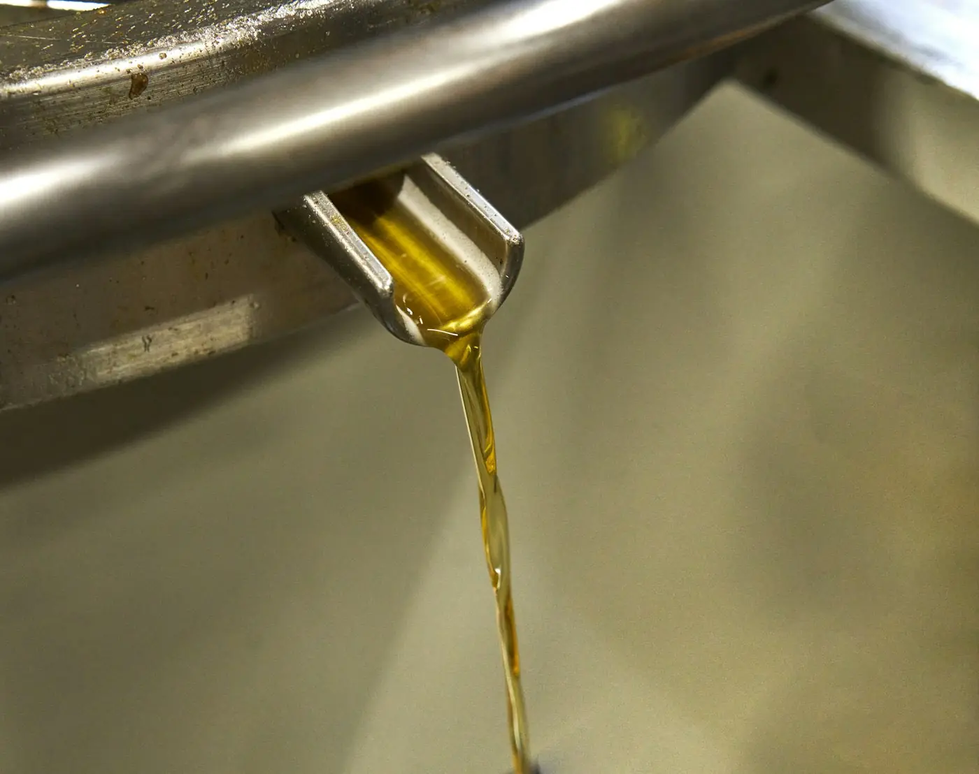 Grasa amarilla (yellow grease)