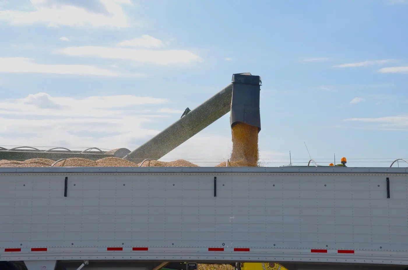Harina de carne y hueso 48% de proteína